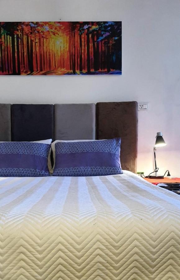 Studio Mirador, Todo Lo Que Necesitas Para Disfrutar تاريخا المظهر الخارجي الصورة