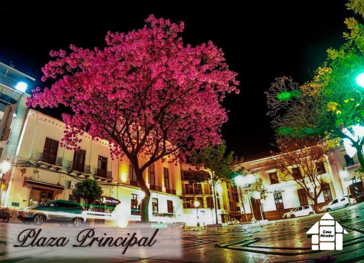 Studio Mirador, Todo Lo Que Necesitas Para Disfrutar تاريخا المظهر الخارجي الصورة